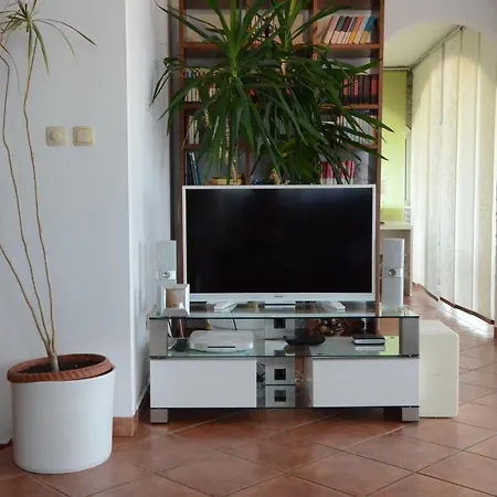 Petra Hills Apartment *